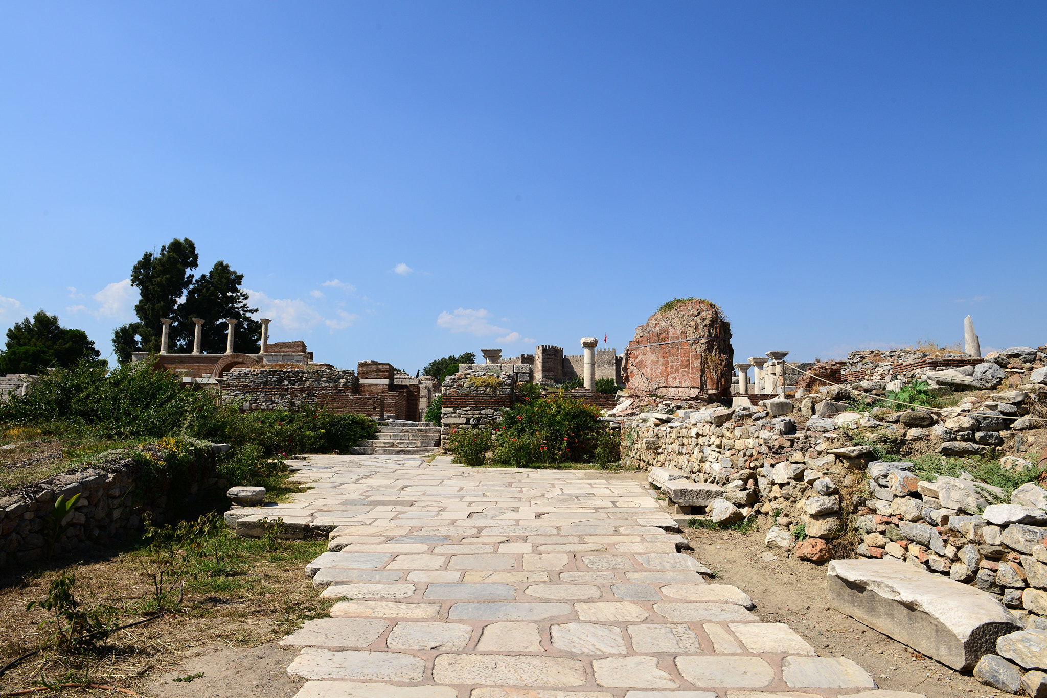 606 셀축 셀수스 도서관